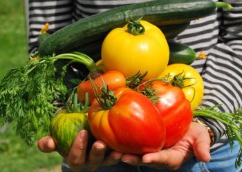 ¿Qué necesitas para hacer una huerta en casa?