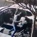 Quiso secuestrar y golpeó ferozmente, pero no robó nada y perdió su celular