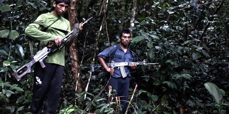 Seis muertos en combates entre remanentes de Sendero Luminoso y militares
