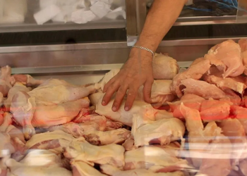 Sigue la polémica por el abastecimiento de pollo entre importadores y productores