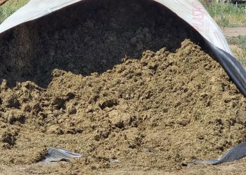 Tips para prevenir el impacto de las micotoxinas en la producción ganadera