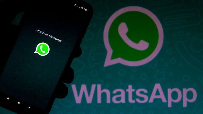 Develando misterios: cómo saber cuántas personas bloquearon en WhatsApp