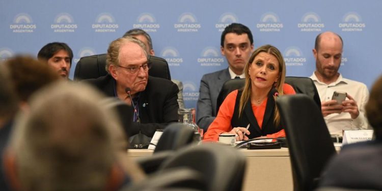 Diputados comenzó a analizar en comisión la separata impositiva del Presupuesto 2024