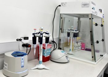 El Incucai cruzó a Milei: “Demuestra un total desconocimiento del funcionamiento del sistema de donación y trasplante”