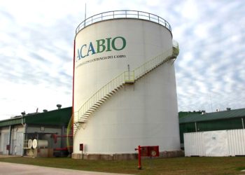 El maíz argentino, motor de desarrollo sustentable