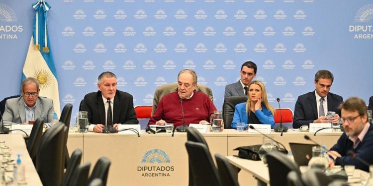 El miércoles continuará el debate en comisión del proyecto de devolución del IVA