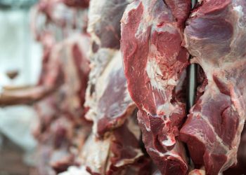 Exportaciones de carne caen durante septiembre