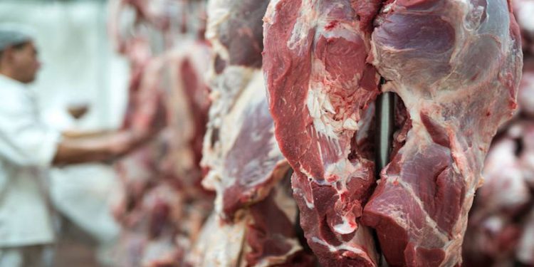 Exportaciones de carne caen durante septiembre
