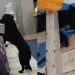 Final inesperado: un perro acompañó a su dueño al hospital, pero el hombre se escapó y lo abandonó