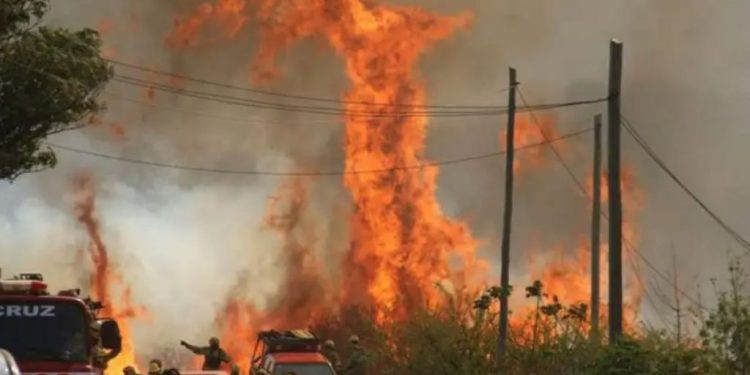 Incendios en Córdoba: en Villa Carlos Paz evacuaron un colegio y preparan alojamientos para los que debieron abandonar sus casas