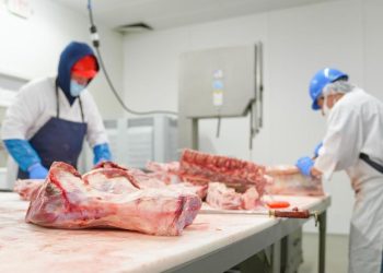 Las carnicerías acordaron con los frigoríficos rebajas de más del 35% en dos cortes