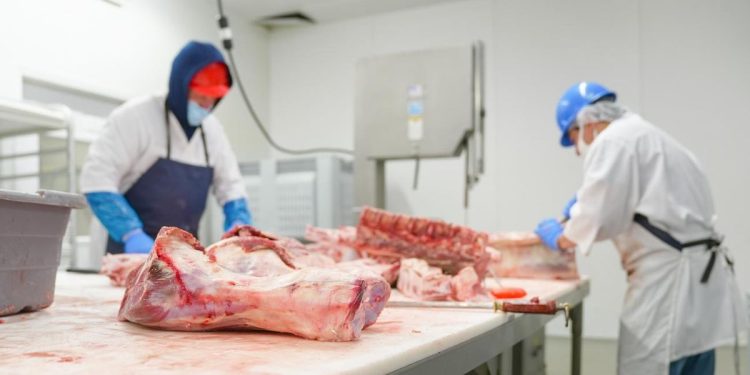 Las carnicerías acordaron con los frigoríficos rebajas de más del 35% en dos cortes