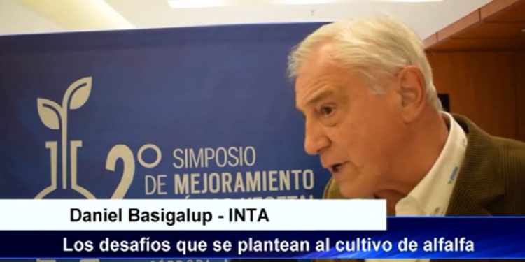 Los desafíos que se plantean al cultivo de alfalfa