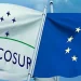 Los negociadores aceleran conversaciones en Acuerdo Mercosur-UE, pero los obstáculos no desaparecen