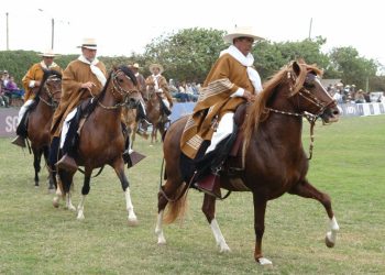 Más de 200 caballos peruanos se lucieron en el predio de la SRJM 