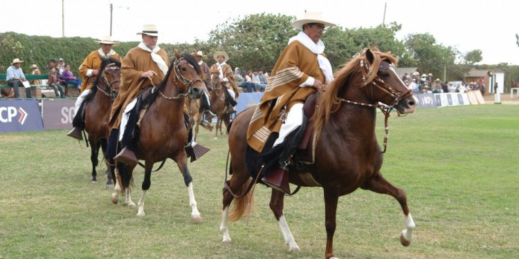 Más de 200 caballos peruanos se lucieron en el predio de la SRJM 