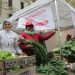 Mercadazo en Plaza de Mayo para lanzar una federación por el acceso al trabajo digno y la alimentación