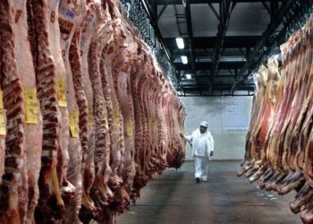 Minerva podría alcanzar más del 60% de la carne exportada desde Uruguay, advirtió la ARU