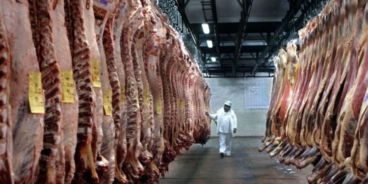 Minerva podría alcanzar más del 60% de la carne exportada desde Uruguay, advirtió la ARU