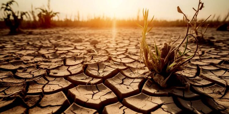 Ministros de Medio Ambiente de Latinoamérica buscan acordar una propuesta para la COP28