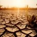 Ministros de Medio Ambiente de Latinoamérica buscan acordar una propuesta para la COP28