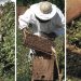 Nuevos beneficios para la producción orgánica en Argentina