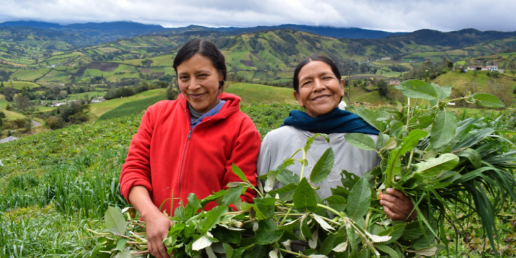 Plan para avanzar los derechos de las mujeres rurales