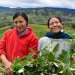 Plan para avanzar los derechos de las mujeres rurales