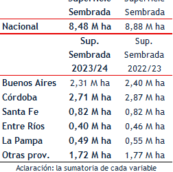 Por la falta de lluvias, unas 400.000 hectáreas pensadas para maíz, ahora irán a soja