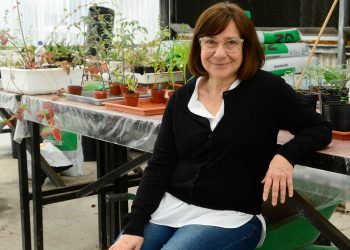 Premiaron a una bioquímica argentina por sus contribuciones al campo de la biotecnología