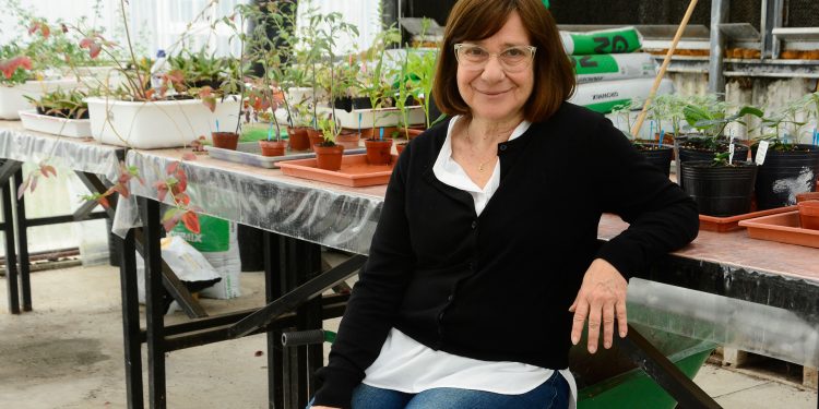 Premiaron a una bioquímica argentina por sus contribuciones al campo de la biotecnología