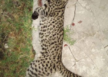 Realizaron una reunión para tratar el conflicto de loteo ilegal y amenazas de muerte con complicidad policial