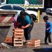 Sin la AUH, las asignaciones familiares y la Tarjeta Alimentar, la pobreza infantil subiría 3 puntos y la indigencia hasta 10