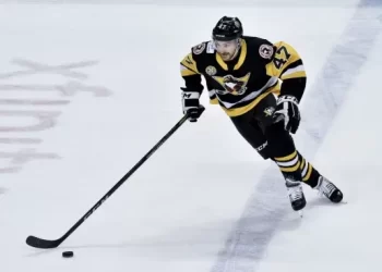 Tragedia en el hockey sobre hielo: se lastimó y murió en pleno partido