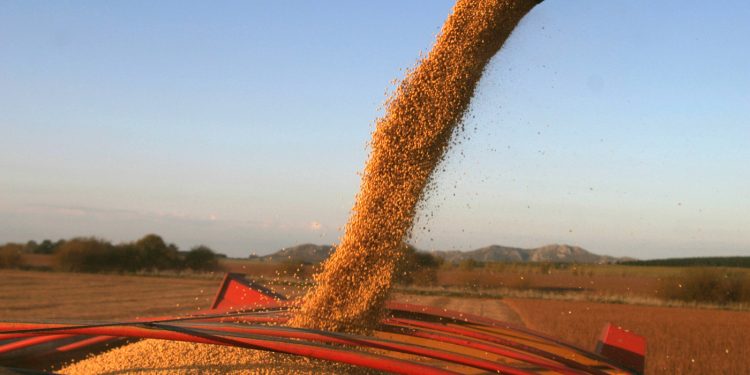 Aduana investiga a 7 grandes firmas por supuesta sobrefacturación en importaciones de soja