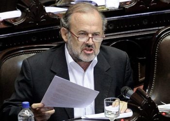 Amadeo contradice a Milei y dice que el apoyo de Bullrich y Macri “no fue incondicional”