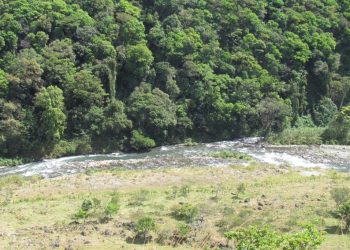 Áreas protegidas: por qué se convirtieron en otro blanco expuesto a posibles ataques de la Argentina liberal