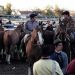 Cerco sanitario en Corrientes y Santa Fe por brotes de Encefalomielitis Equina