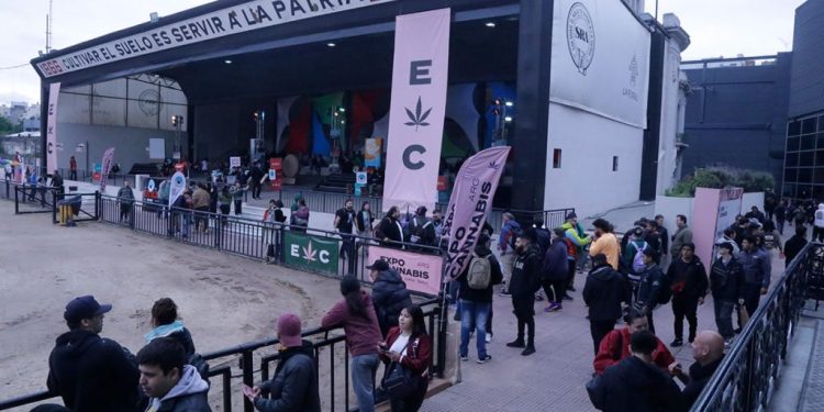 De los hongos a la medicina, una recorrida por la 4° Expo Cannabis