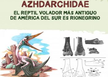 Descubrieron en la Patagonia los fósiles del reptil volador más grande y antiguo de Sudamérica