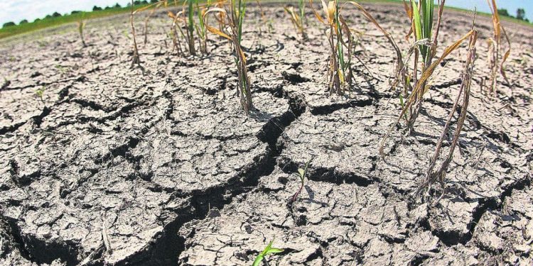 El fin de la emergencia agropecuaria se daría a fin de año, evaluó Fernando Mattos