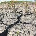 El fin de la emergencia agropecuaria se daría a fin de año, evaluó Fernando Mattos