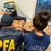 Fariña dijo que fue a visitar a un amigo en la “cueva” allanada donde fue detenido
