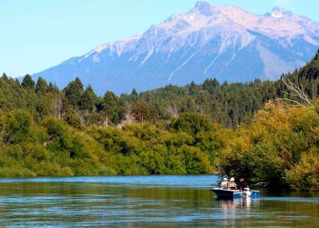 Lewis va por la construcción de centrales hidroeléctricas en reservas naturales patagónicas