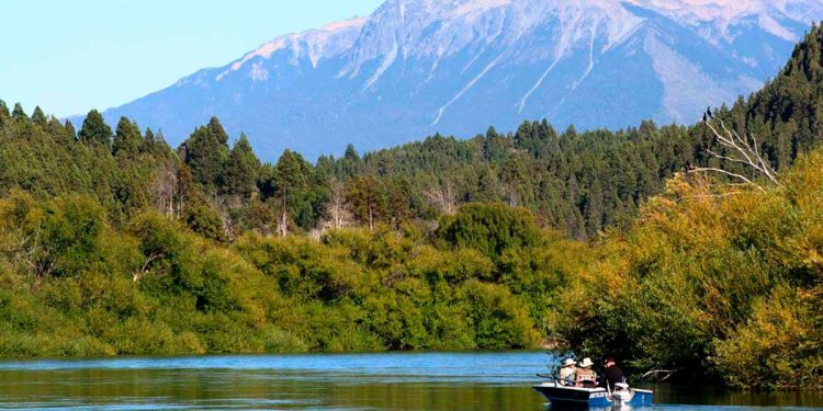 Lewis va por la construcción de centrales hidroeléctricas en reservas naturales patagónicas
