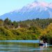 Lewis va por la construcción de centrales hidroeléctricas en reservas naturales patagónicas
