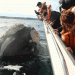 María Leoní Gaffet, una vida junto a las ballenas y la naturaleza en estado puro