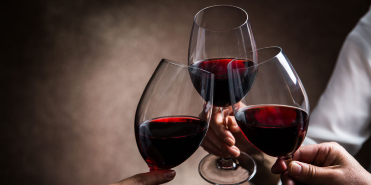 Mendoza recibe importadores europeos en el marco del “Argentine Wine Trade Convention”