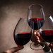 Mendoza recibe importadores europeos en el marco del “Argentine Wine Trade Convention”