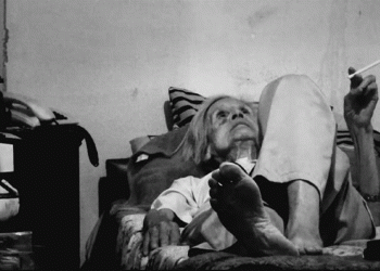 Presentaron la primera muestra alternativa e itinerante del Museo Travesti Trans